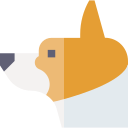 corgi 