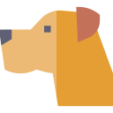 american staffordshire terrier 