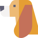basset hound icon