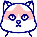 gato ragdoll icon