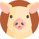 cerdo icon