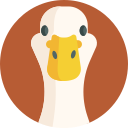 pato icon