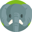 elefante icon