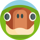 tortuga icon