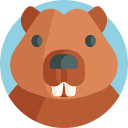 castor icon