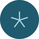 asterisco icon