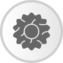 Coletero icon