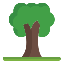 Árbol icon