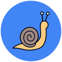 caracol