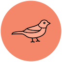 pájaro icon