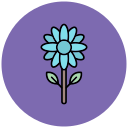 girasol icon