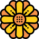 girasol icon