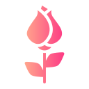 Rose icon