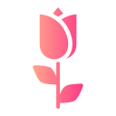 Rose icon