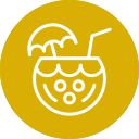 bebida de coco icon