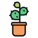 cactus icon