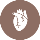 corazón icon