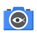 ojo de pez icon