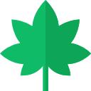 marijuana icon