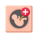 obstetricia icon