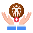 anatomy icon