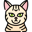 mau egipcio icon