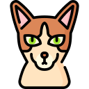 gato oriental icon