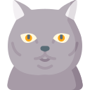 chartreux