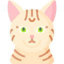 mau egipcio icon