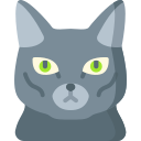 gato korat icon