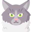 gato del bosque noruego icon