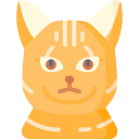 ocicat icon