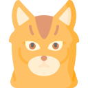 gato somalí icon