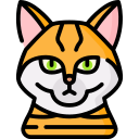 gato toyger icon