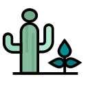 cactus icon