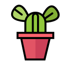 cactus icon