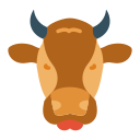 vaca