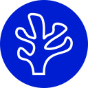 coral icon