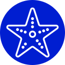 estrella de mar icon