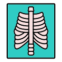 X Rays 