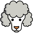 caniche 