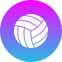 voleibol