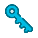 llave icon