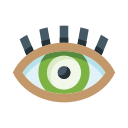 ojo icon