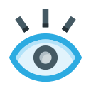 ojo icon