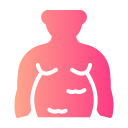 obesidade 