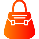 bolso icon