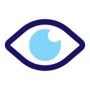 ojo icon