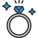 anillo icon