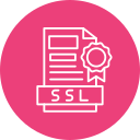 ssl icon